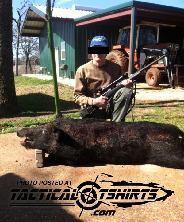 Shooting Pigs In Texas