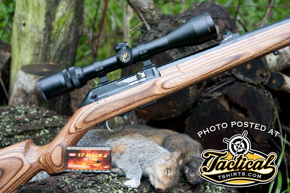 While the 17 HMR provides explosive performance on small game, the 17 Mach 2 is tamer and a better cartridge for edible game. 