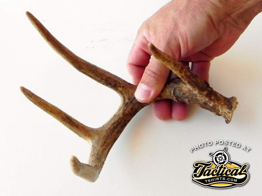 Wondering what to do with that dinker buck’s antlers? Cut it up and make it into tools. 