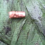 270WBY Pig Hunt Bullet Fragment 2016 IMG_8441