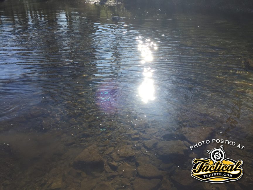 Fly Fishing East Coast Gun Blog