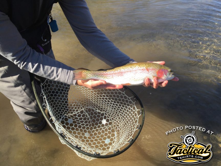 Fly Fishing East Coast Gun Blog