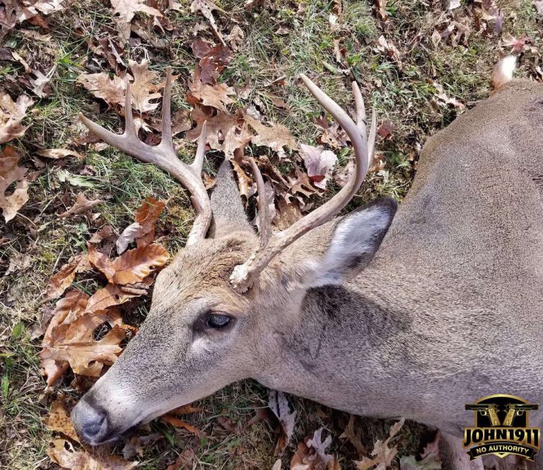 2017 Kentucky Deer Season SIL 1 Gun Blog