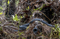 POTD – The Unglamorous side of sniping