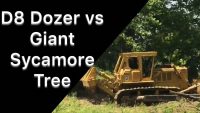 D8 Dozer vs Tree 