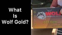 What is Wolf Gold Ammo?