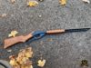 BB Gun. Daisy BB gun