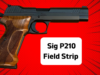 P210 Pistol