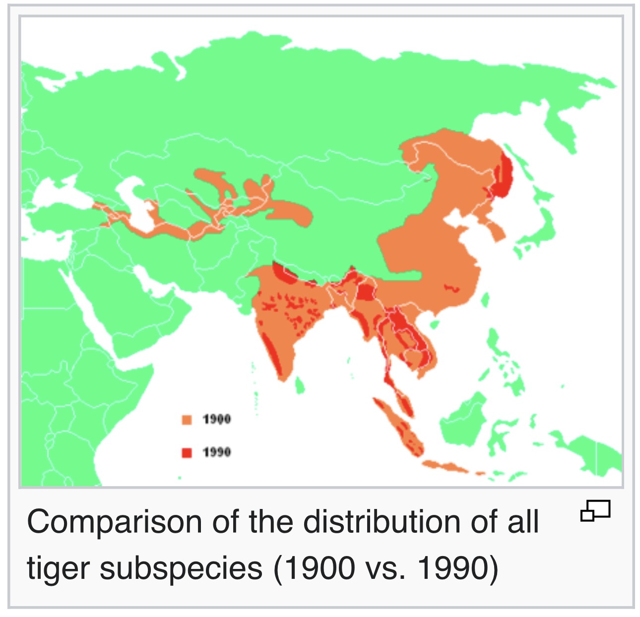 tiger subspecies map