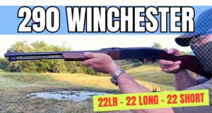 Winchester 290 Review