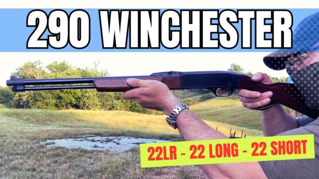 Winchester 290 Review