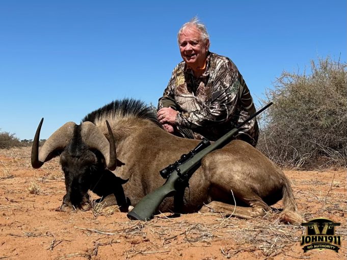 Black Wildebeest Black Wildebeest -Namibia