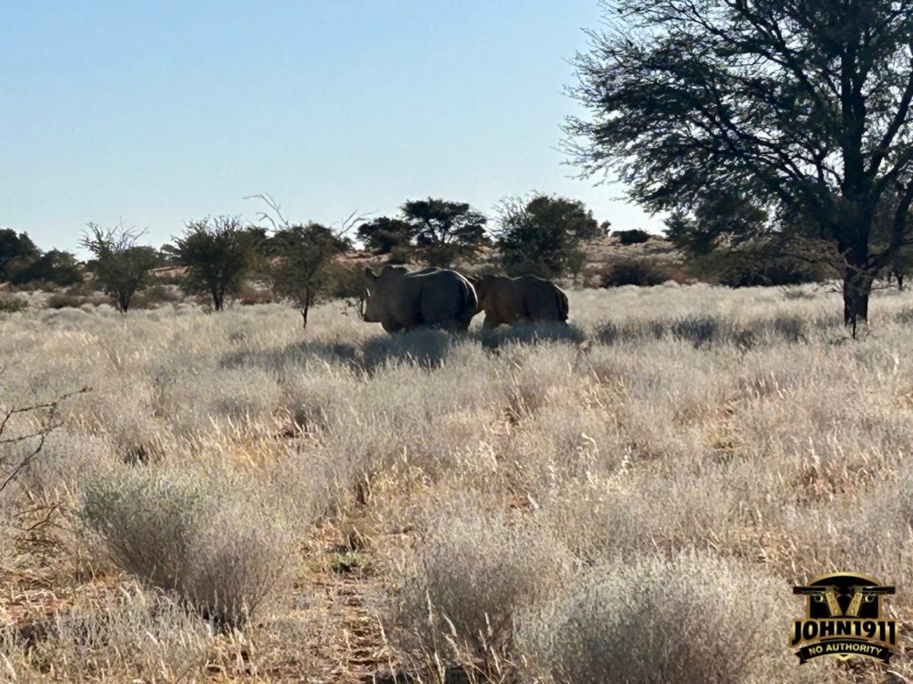 Pic of Rhinos seen.