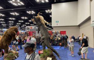 Crocodile Taxidermy 2023 NRA convention.