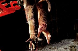 2023 Deer Hunting Season.