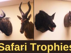 Doc’s African Trophies