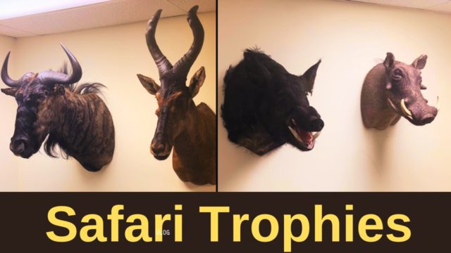 Doc’s African Trophies