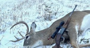 Thumb - 2024 Montana 3x4 Buck. Savage 99