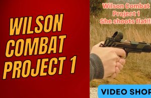 Wilson Combat -Project 1 - First Shots