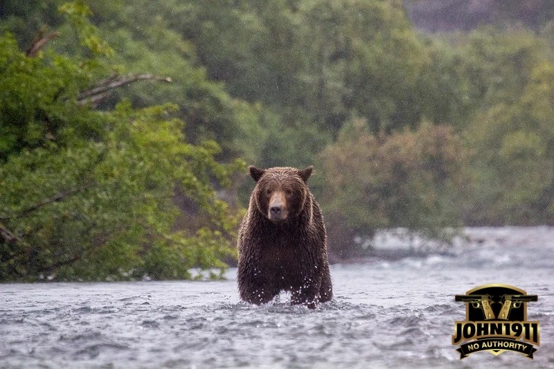 Hornady Backcountry Defense - 9mm Bear Load.