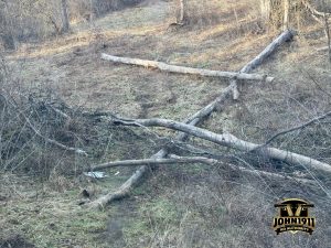 More Trees Down - Emerald Ash Borer.