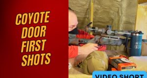 Blaser R8 Coyote Door First Shots