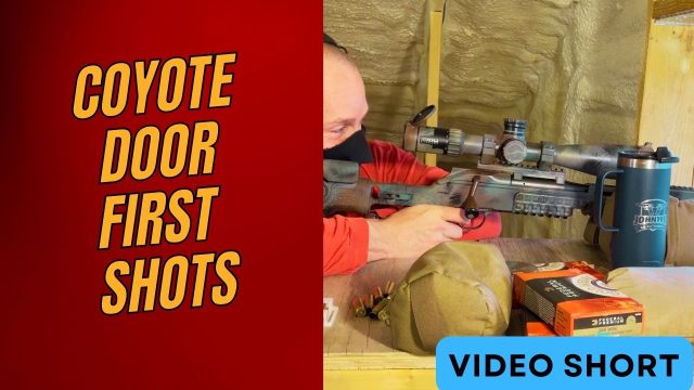 Thumb -Coyote Door - First Shots Blaser R8 Coyote Door First Shots