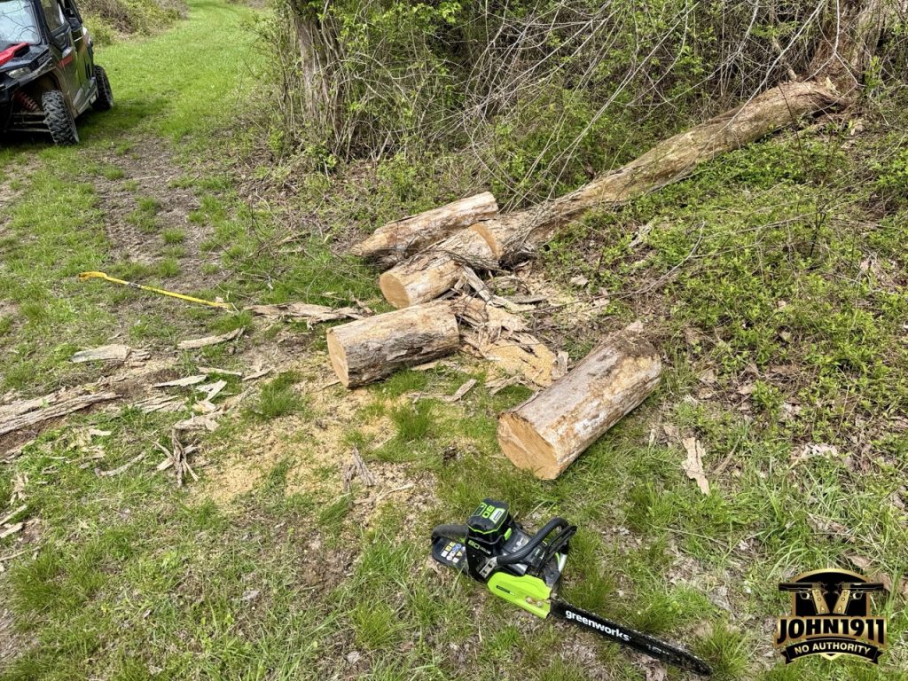 Greenworks Electric Chainsaw Final Review