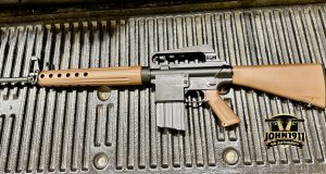 AR-10 Clone