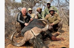 Cape Buffalo - Namibia Sept 2025.