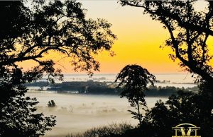 POTD - Insomnia Sunrise