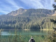 Moose Hunt in Mountains