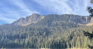 Moose Hunt in Mountains