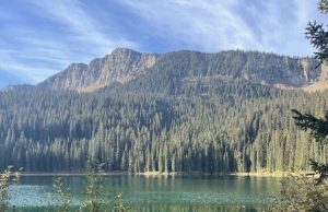 Moose Hunt in Mountains