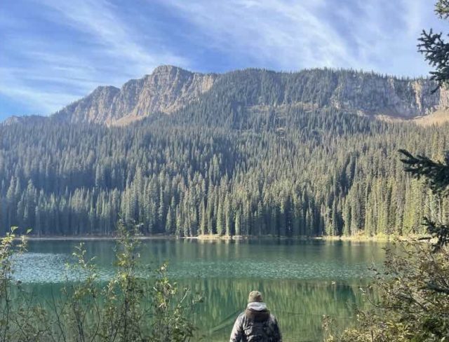 Moose Hunt in Mountains
