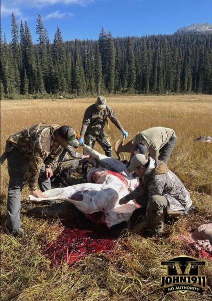 2025 Moose Hunt