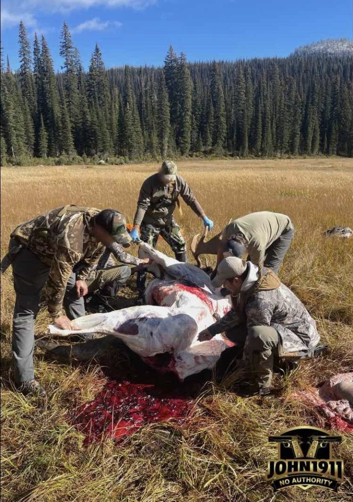 2025 Moose Hunt