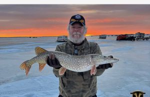 Ice fishing 2026 - Pike