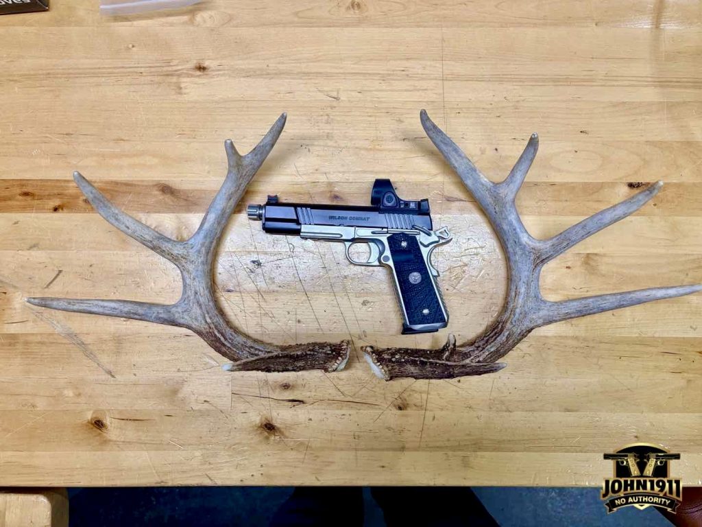 Found deer sheds. February 2026