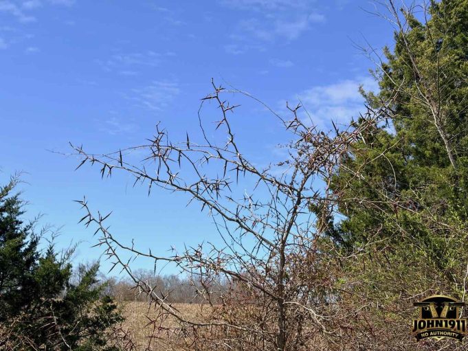 Fire Pit Dirt Work - John1911.com Gun Blog