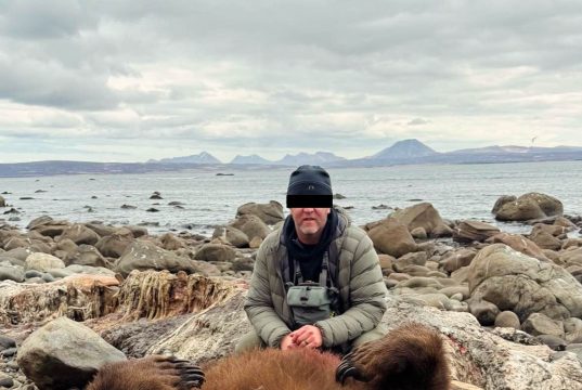 Brown Bear Hunt - Alaska