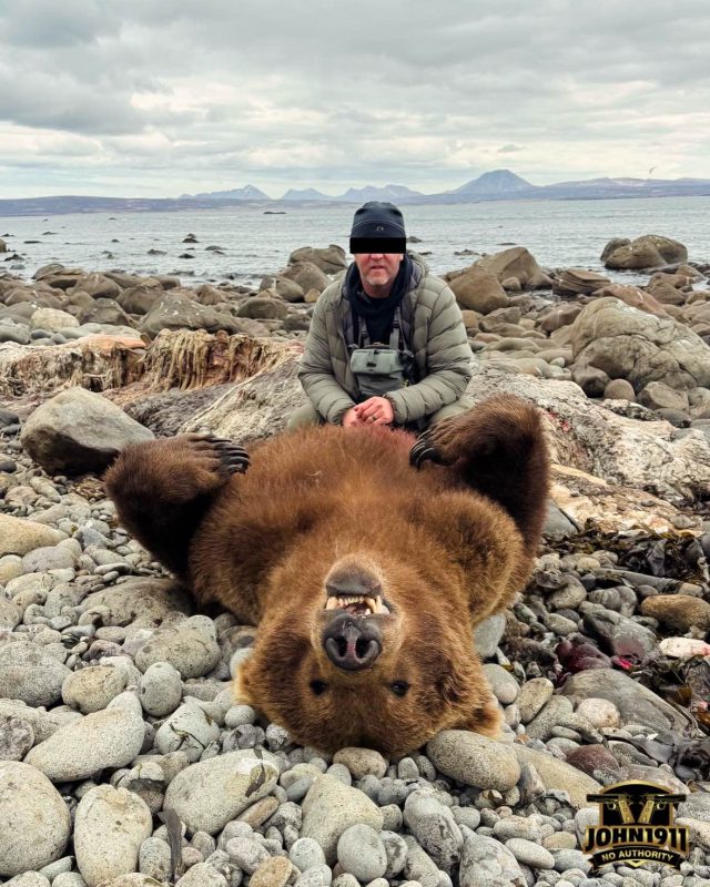 Brown Bear Hunt - Alaska