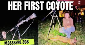 Her First Coyote