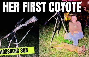 Her First Coyote