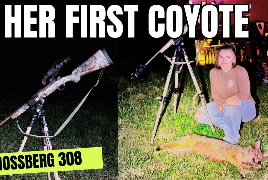Her First Coyote