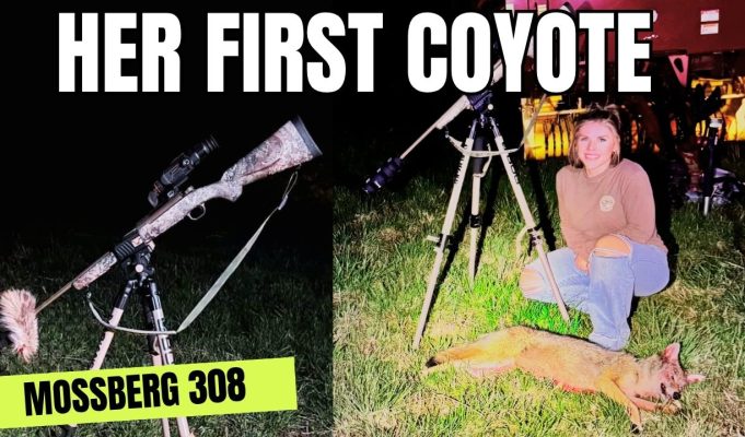 Her First Coyote