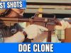 DOE AR-15 Clone