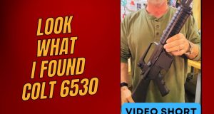 Colt 6530 Sporter Lightweight